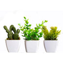 Kit 3 Mini Vasinhos com Plantinha Artificial