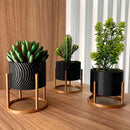 Trio de Vasos Cachepot com Suporte