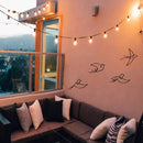 Kit 4 Pássaros de Parede