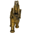 Elefante Indiano Floral Abstrato