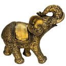 Elefante Indiano Floral Abstrato