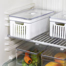 Kit 2 Organizadores de Geladeira 6,8L com Tampa