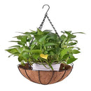 Vaso Suspenso de Fibra de Coco