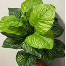 Folhagens Artificiais para Decoração