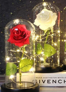 Luminária Rosa Encantada – A Bela e a Fera
