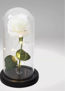 Luminária Rosa Encantada – A Bela e a Fera