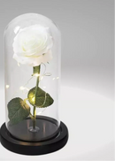 Luminária Rosa Encantada – A Bela e a Fera