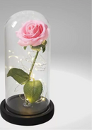 Luminária Rosa Encantada – A Bela e a Fera