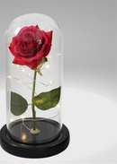 Luminária Rosa Encantada – A Bela e a Fera