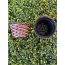 Arranjo de Hera Artificial