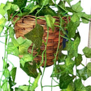 Kit com 3 Fios de Hera + Vaso Trançado