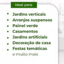 Kit com 3 Fios de Hera + Vaso Trançado